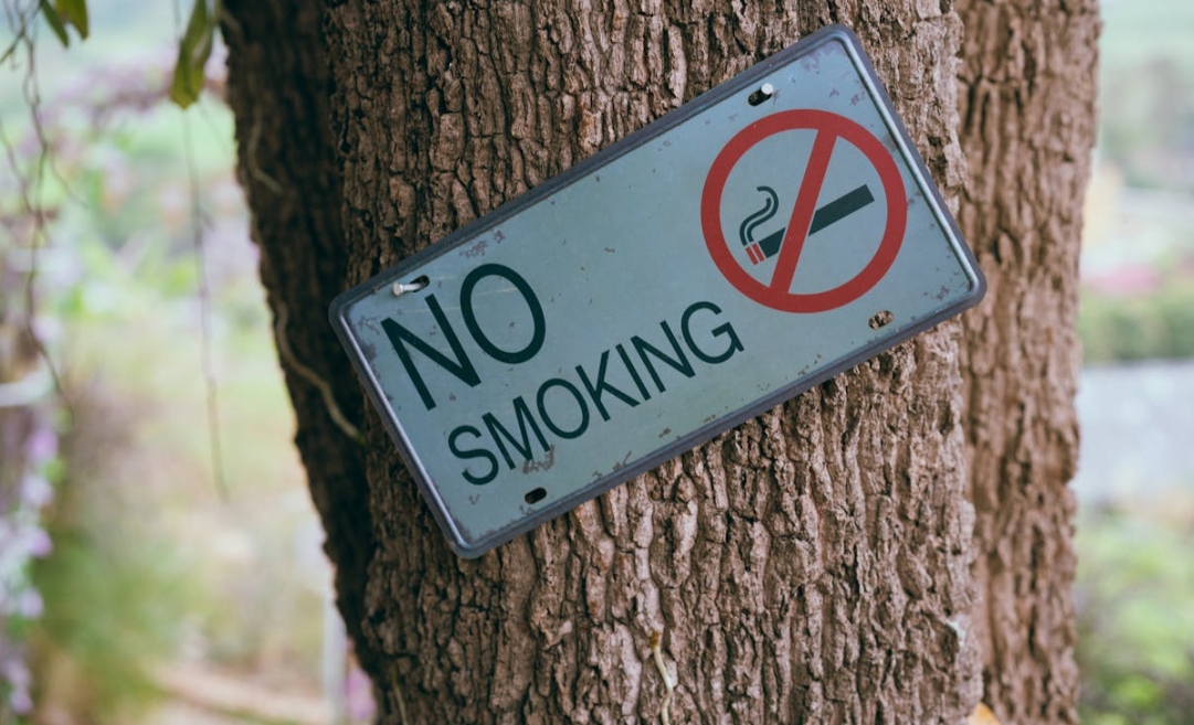 Koszty naruszenia zakazu palenia na krakowskich przystankach
